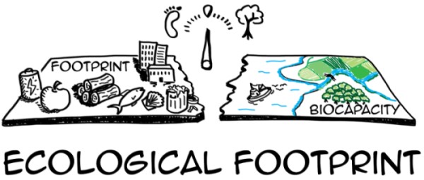 Your Ecological Footprint