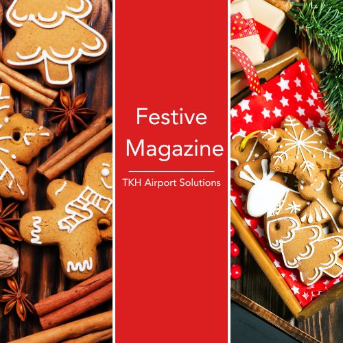 🎄Festive Magazine